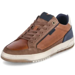 New Low Sneaker - Herren Sneaker