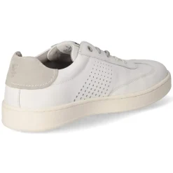 New Low Sneaker - Herren Sneaker
